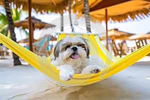 Dog Laid-Back Shih Tzu Unwinding on Vacation on the beach. Generative AI