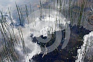 Dog Lake, Tuolumne Meadows, Yosemite