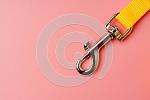 Dog leash with carabiner on pink background