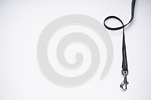 Dog leash with carabiner on a white background, space for text. Flat lay