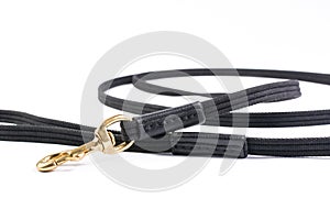 Dog leash closeup