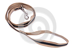 Dog leash with quick release clasp bucket