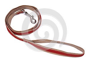 Dog leash with quick release clasp bucket photo