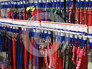 Dog leashes or leads.