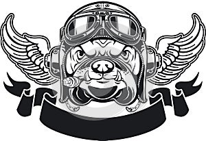 Dog with Leather Flying Helmet and goggles and wings