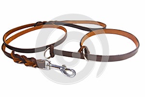 Dog leather leash and collar