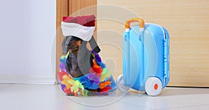 Dog lei around neck santa hat suitcase trip incendiary vacation travel agency