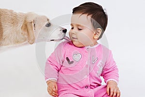 Dog licking baby face photo