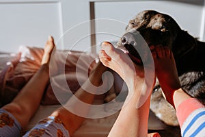 dog licking barefoot of the children lying in the bed