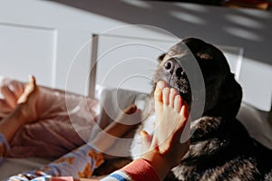 dog licking barefoot of the small children in the bed