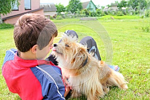 Dog licking the boys face photo