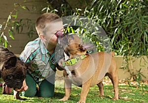 Dog Licking a Child's Face