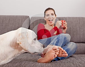 Dog licking the toes
