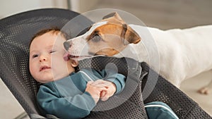 A dog licks the face of a cute three-month-old boy dressed in blue overalls in a baby lounger.