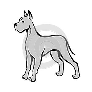 Dog line art drawing Great Dane. Can be used as emblem of chinese new year 2018