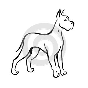 Dog line drawing Great Dane. Can be used as pet shop logo or emblem