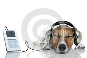 El perro escuchando sobre el música 