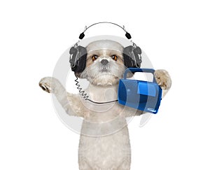 Dog listening to music and dancing