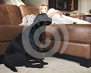 Dog with little girl watching television.