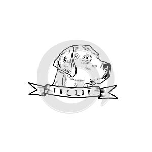 Dog Logo, Vintage hand drawn with brush effect log design tamplate photo