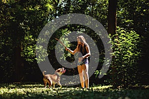 Dog is looking at the branch that girl is holding