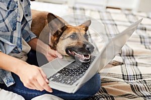 Dog Looking at Laptop Screen