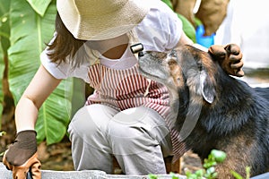 Dog looking to woman with loving eyes emotion, Curious pet helping owner do gardening, Human and animal relation photo