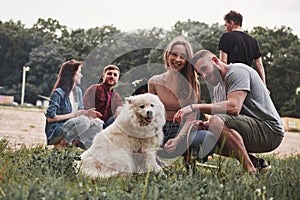 Dog looks into the camera. Group of people have picnic on the beach. Friends have fun at weekend time