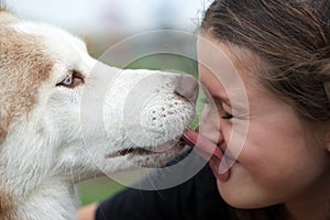 Dog love photo