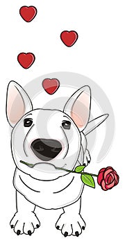 Dog in love with flower