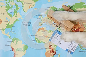 Dog lying near toy airplane and ticket on world map, top view. Travelling with pet