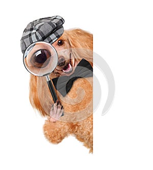 Dog with magnifying glass and searching