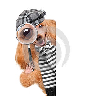 Dog with magnifying glass and searching