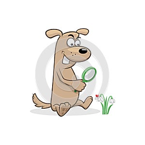 Dog magnifying glass snowdrop ladybug vector illustration