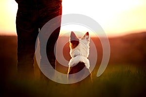 Dog an Man looking at the sunset, camping and traviling with the