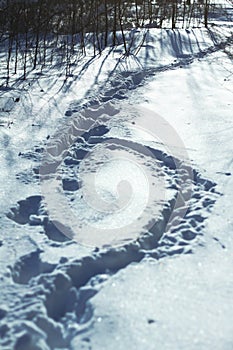 Dog and man tracks in the snow on nature. Boot track in the snow. Stock background