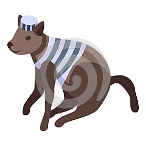 Dog marine costume icon isometric vector. Festive monster