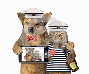 Dog with cat mariner makes selfie photo