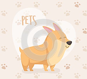 Dog mascot character with heart and paw prints background
