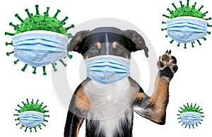 Dog with medical mask against virus. Concept about animals and coronavirus covid19