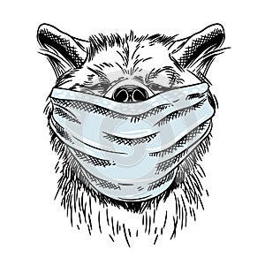 Dog in a medical mask. Pandemic. COVID-19. Portrait of the Siba Inu dog.