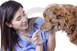 Dog Medical Treatment