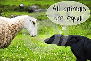 Dog Meets Sheep, Text All Animals Are Equal