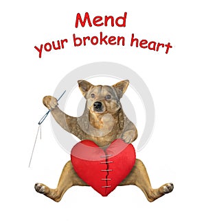 Dog mends broken heart 2