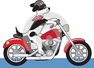 Dog Motorcycle