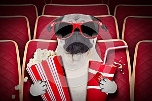 Dog at the movies