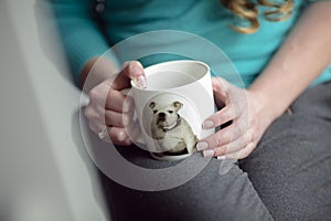 Dog mug