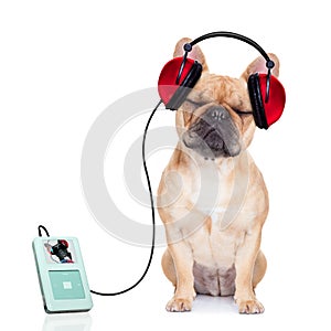 Dog music