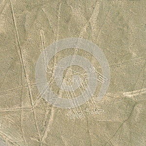 The Dog, Nazca Lines, Peru