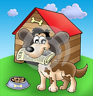 Dog with news in front of kennel